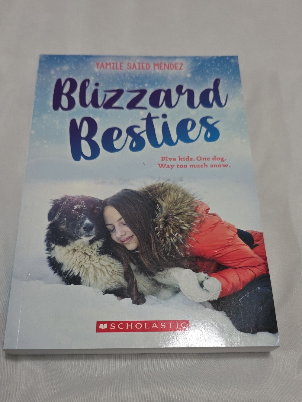 Scholastic Blizzard Besties